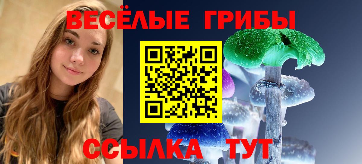 Грозный  Псилоцибиновые грибы Magic Shrooms  Вход с VPN 